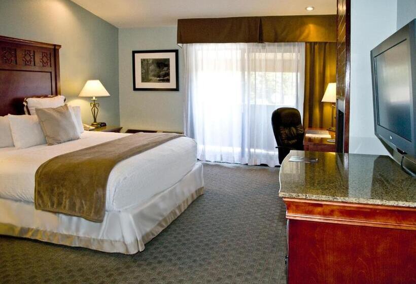 Номер Executive Кровать Кинг, Best Western Plus Forest Park Inn