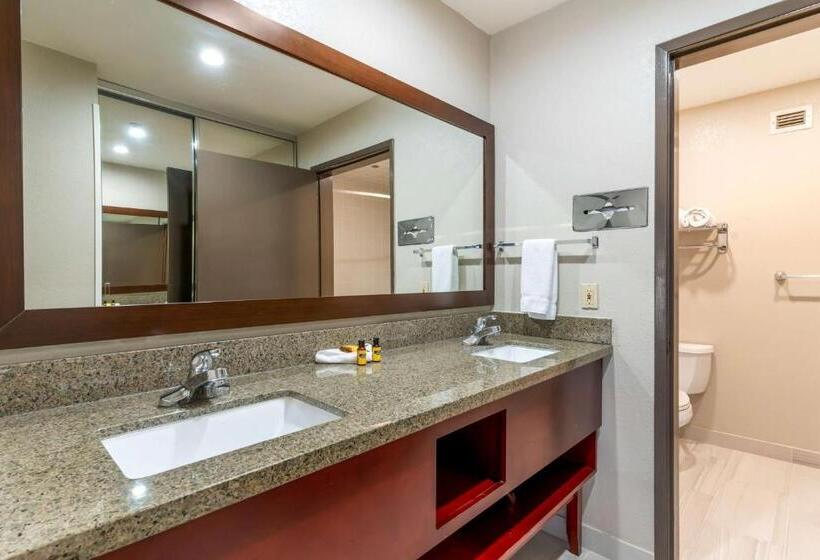 Номер Стандарт Адаптированный для Инвалидов, Best Western Plus Forest Park Inn