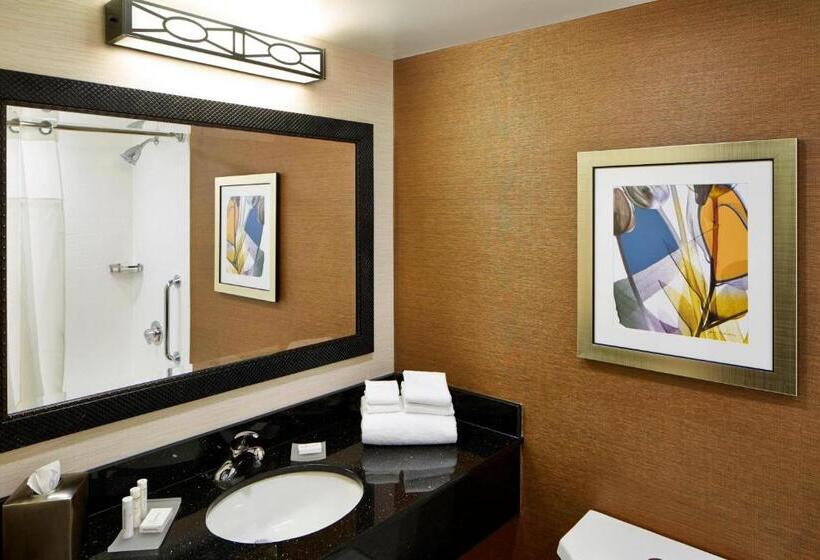 Стандартный Номер Кровать Кинг, Fairfield Inn By Marriott Rochester East