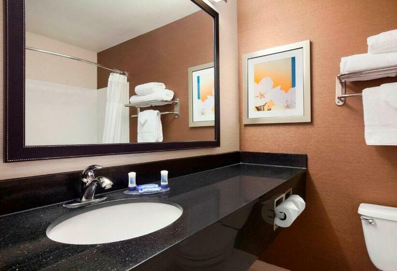 Номер Стандарт, Fairfield Inn & Suites Lansing West