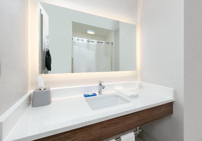 豪华房间, Holiday Inn Grand Haven Spring Lake, An Ihg