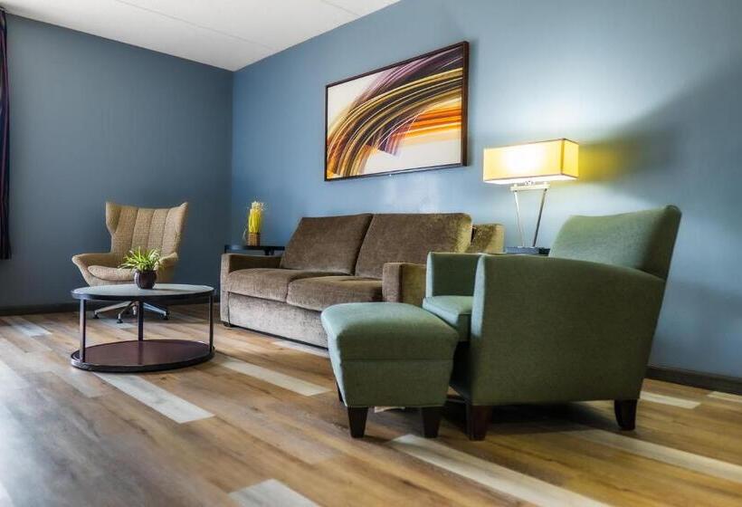 Студия Стандарт, Baymont By Wyndham London Ky