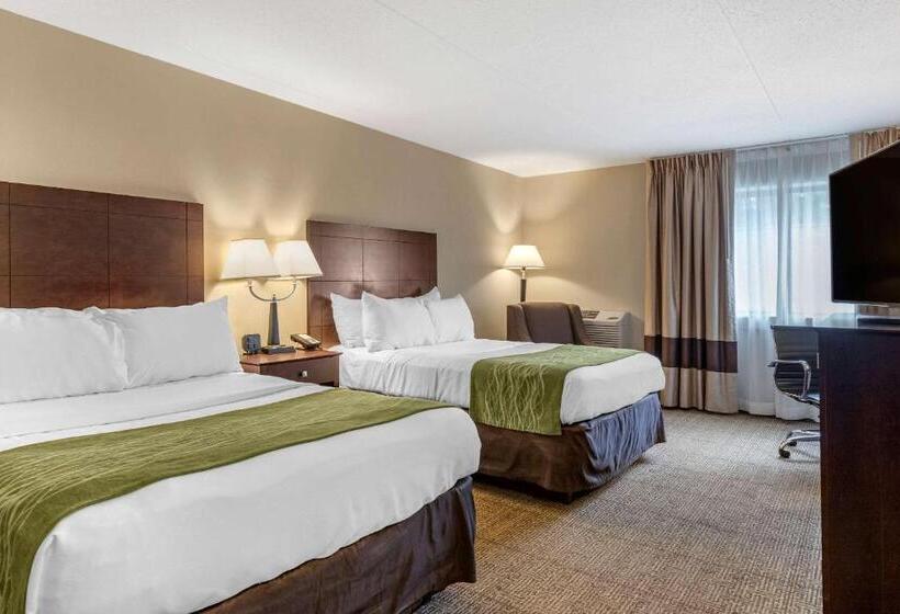 Номер Стандарт 2 Двуспальные Кровати, Comfort Inn