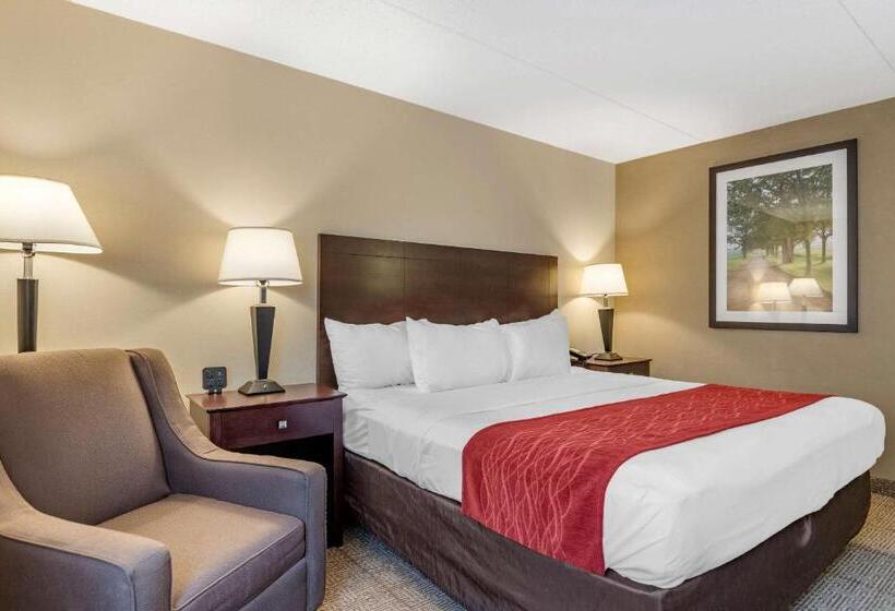 Стандартный Номер Кровать Кинг, Comfort Inn