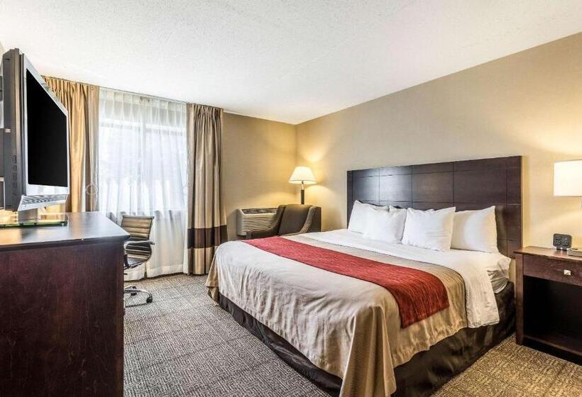 Номер Стандарт Кровать Кинг Адаптированный для Инвалидов, Comfort Inn