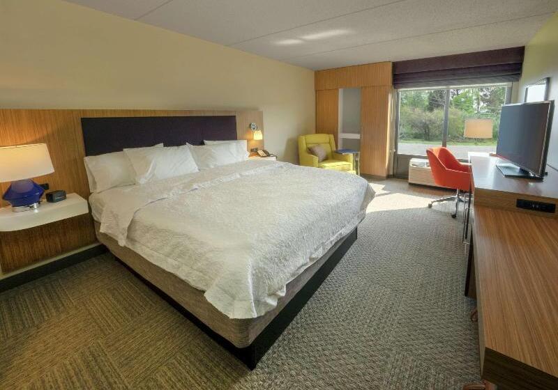 Standard Room King Size Bed, Hampton Inn Hazleton