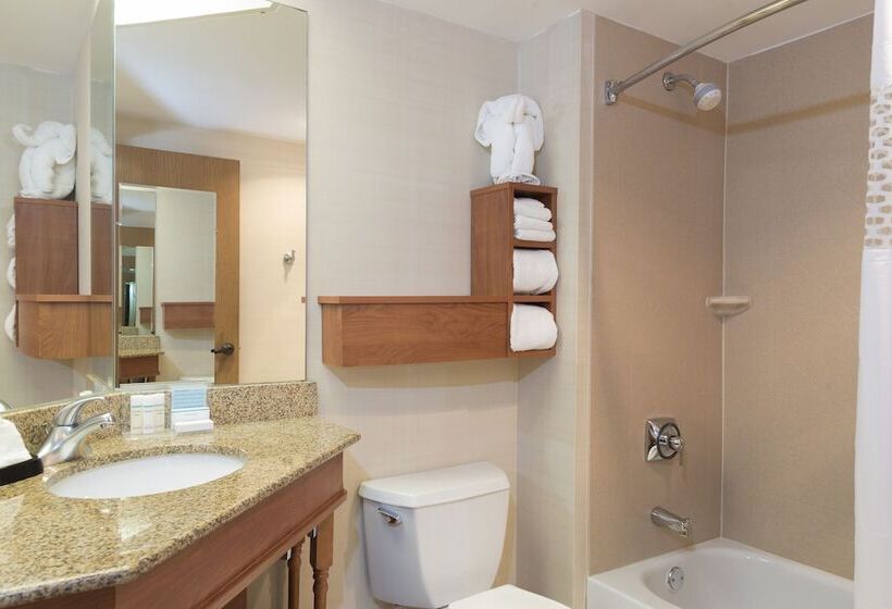 Standard Room, Hampton Inn Joliet  I80
