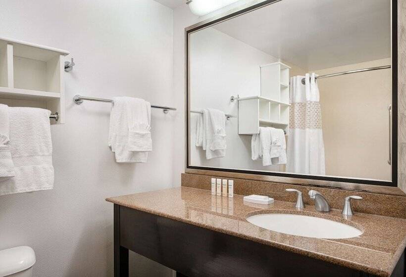 Номер Стандарт, Hampton Inn Loveland