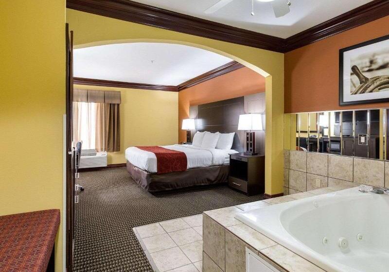 Номер Deluxe Кровать Кинг, Hampton Inn Salem Eastelectric Road