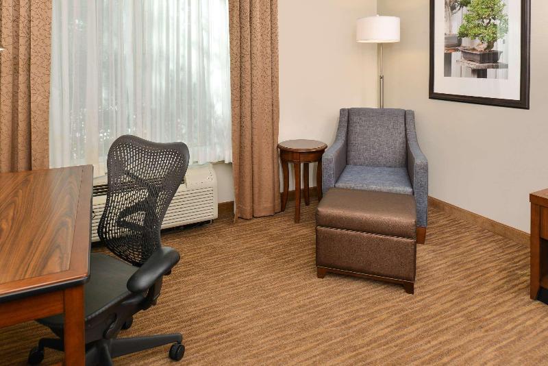 חדר סטנדרט עם מיטת קינג, Hilton Garden Inn Dallas/addison