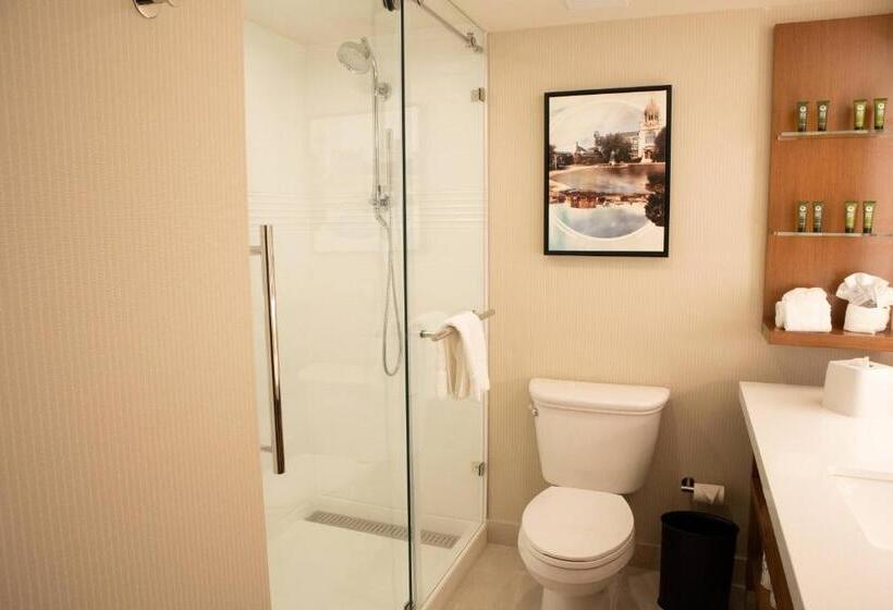 Номер Стандарт Кровать Кинг Адаптированный для Инвалидов, Delta Hotels By Marriott Allentown Lehigh Valley