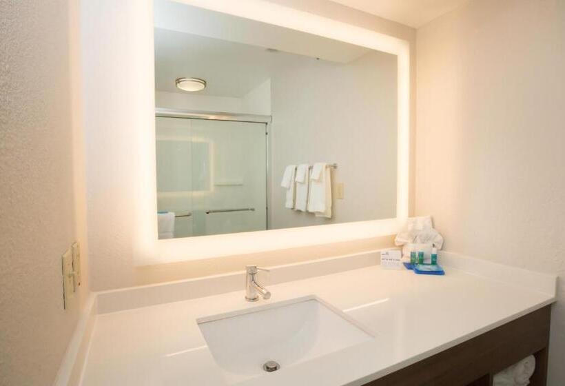 스탠다드 룸 킹사이즈 침대, Holiday Inn Express Hotel & Suites Madison, An Ihg