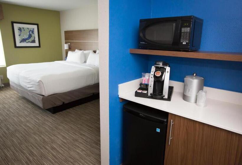장애인을 위한 킹사이즈 침대 스탠다드 룸, Holiday Inn Express Hotel & Suites Madison, An Ihg