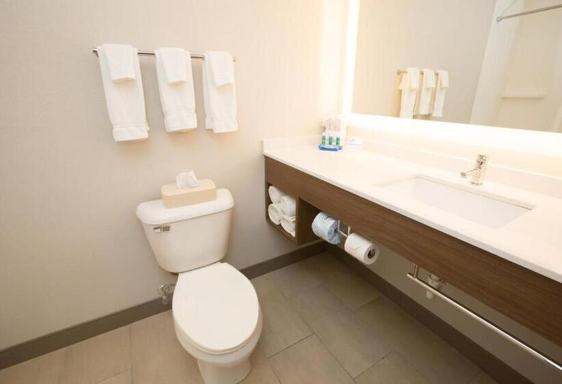 스탠다드 룸, Holiday Inn Express Hotel & Suites Madison, An Ihg