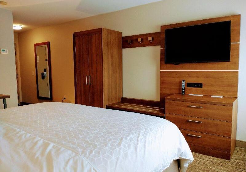 스탠다드 룸 킹사이즈 침대, Holiday Inn Express Hotel & Suites Madison, An Ihg