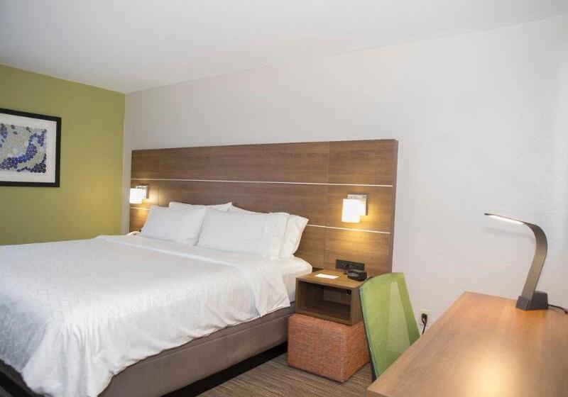 스탠다드 룸 킹사이즈 침대, Holiday Inn Express Hotel & Suites Madison, An Ihg