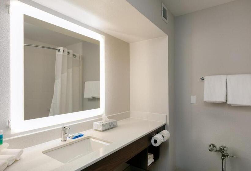 חדר דחוקס עם מיטת קינג, Holiday Inn Express & Suites Milton East I 10, An Ihg