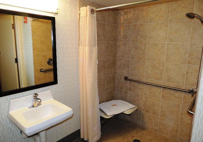 带大床的标准间, Holiday Inn Portland  I 5 S Wilsonville, An Ihg
