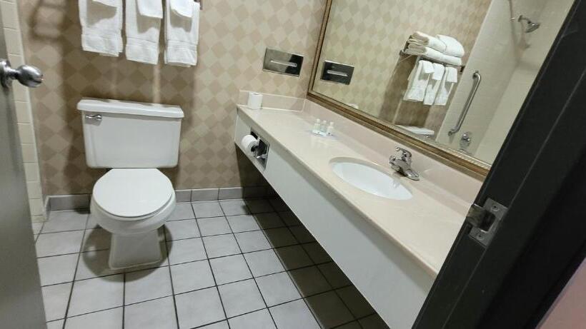 带大床的标准间, Quality Inn & Suites Columbia I70