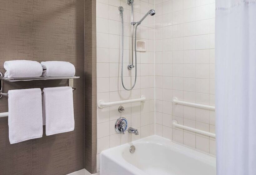 Pokój Standard 2 Łóżka Małżeńskie, Hyatt Centric Chicago Ohare