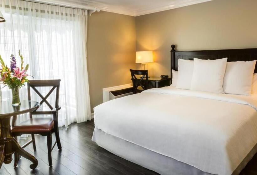 Deluxe Kamer met Kingsize Bed, Metropole