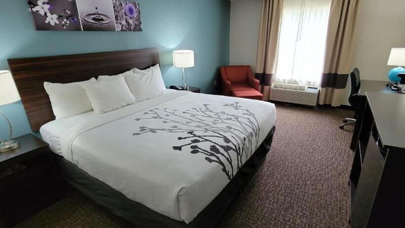스탠다드 룸 킹사이즈 침대, Sleep Inn & Suites
