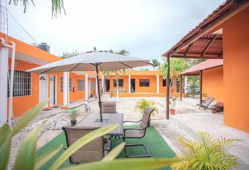 اتاق لوکس, Casa Ariana