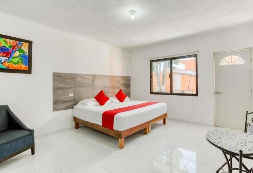 اتاق لوکس, Casa Ariana