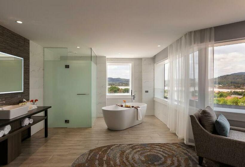 Люкс Superior, Pullman Rotorua