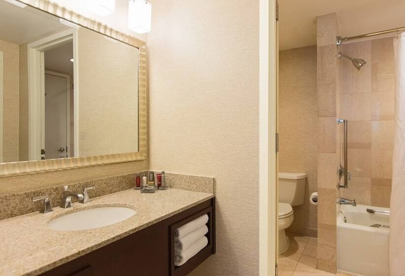 سوییت, Washington Dulles Marriott Suites