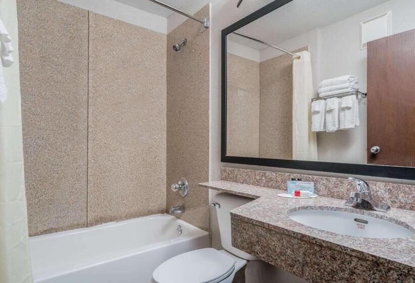 标准工作室, Microtel Inn & Suites By Wyndham Rochester North Mayo Clinic