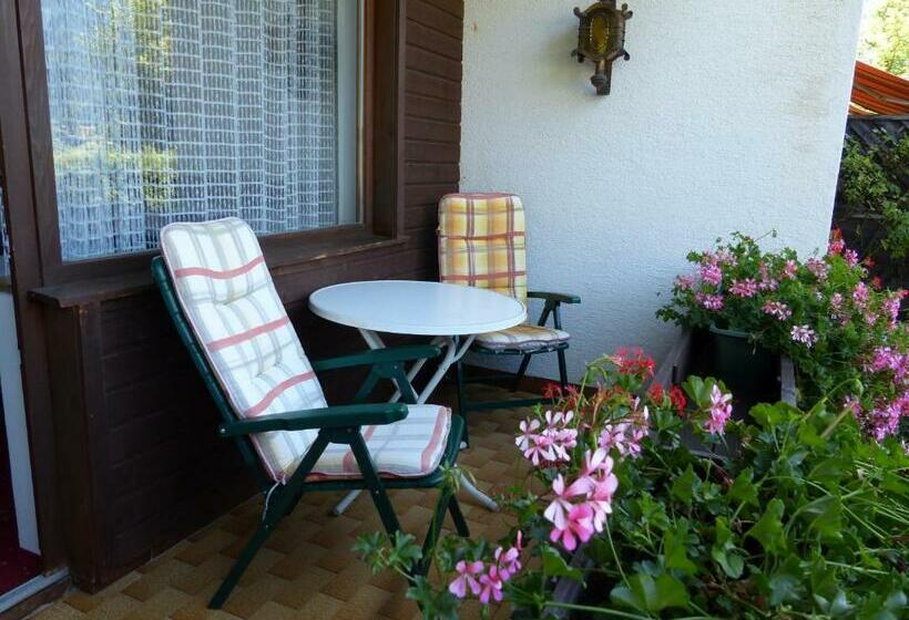 Номер Стандарт с Балконом, Pension Hohenrainer