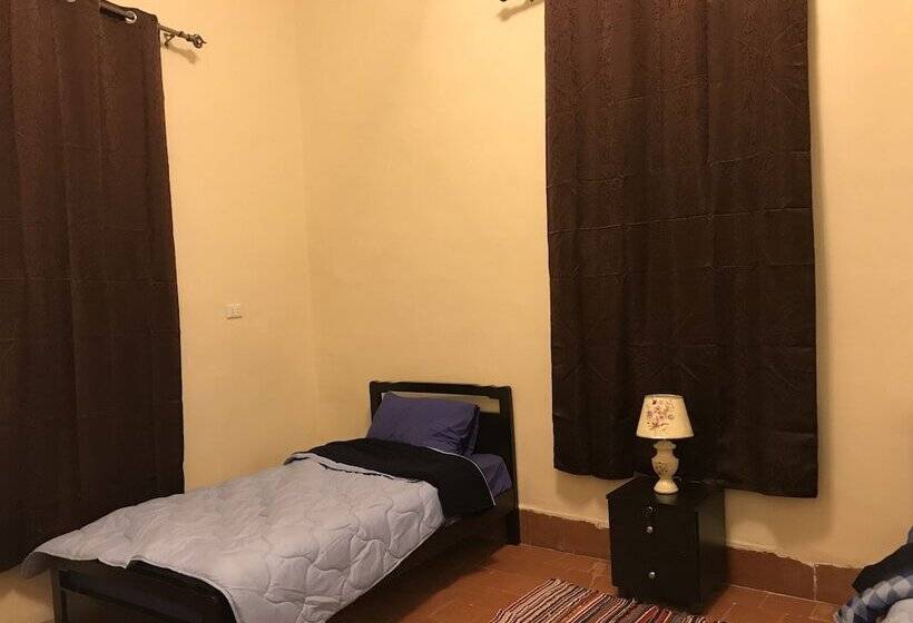 اتاق اکونومی یک تخته, Seed Guest House