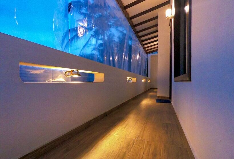 Кровать в Общей Комнате, Wagon Wheel Inn   Hostel
