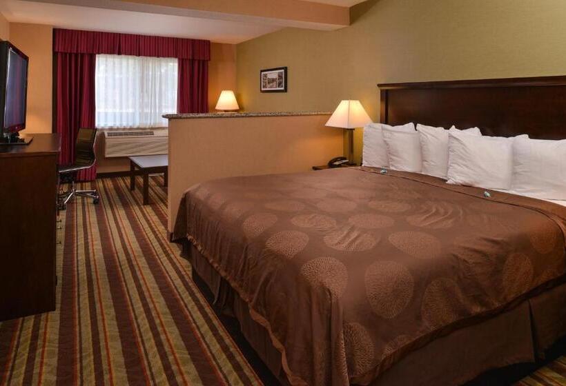 스탠다드 룸 킹사이즈 침대, Best Western Wilsonville Inn & Suites