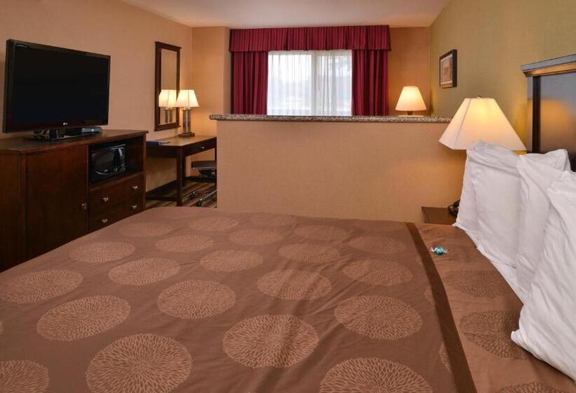 디럭스 스위트 킹 침대, Best Western Wilsonville Inn & Suites