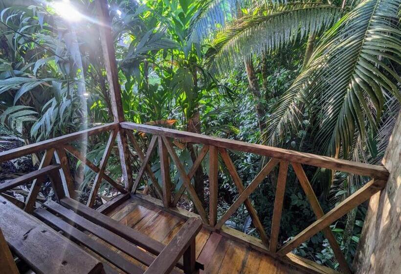Номер Стандарт Трехместный, Citronela Lodge Corcovado