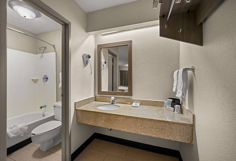 Номер Deluxe, Red Roof Inn Detroit  Royal Oak/ Madison Heights