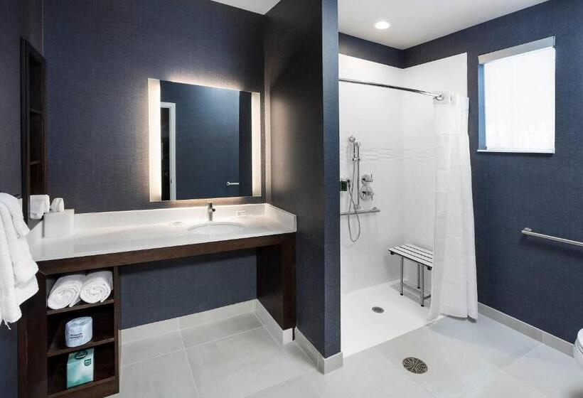 Люкс Кровать Кинг, Residence Inn By Marriott Milwaukee Brookfield