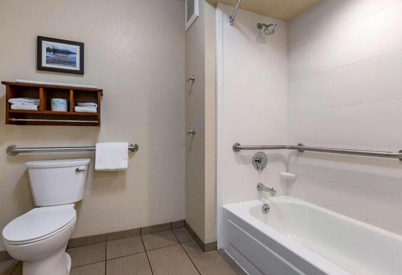 Номер Стандарт Кровать Кинг Адаптированный для Инвалидов, Comfort Inn & Suites Coeur D Alene