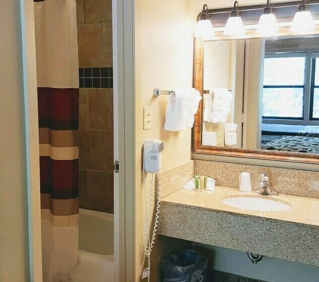 Номер Стандарт 2 Двуспальные Кровати, State Game Lodge At Custer State Park Resort