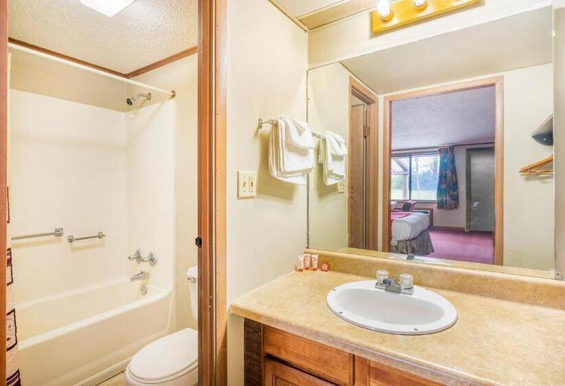 Номер Стандарт Индивидуальный, Oyo Hotel Daleville Al Hwy 84