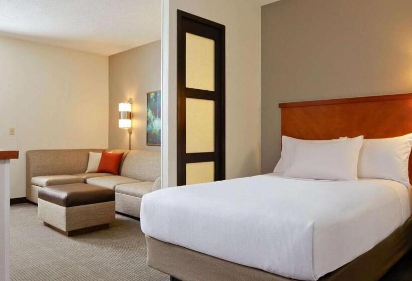キングサイズベッドのデラックスルーム, Sonesta Select Tucson Airport