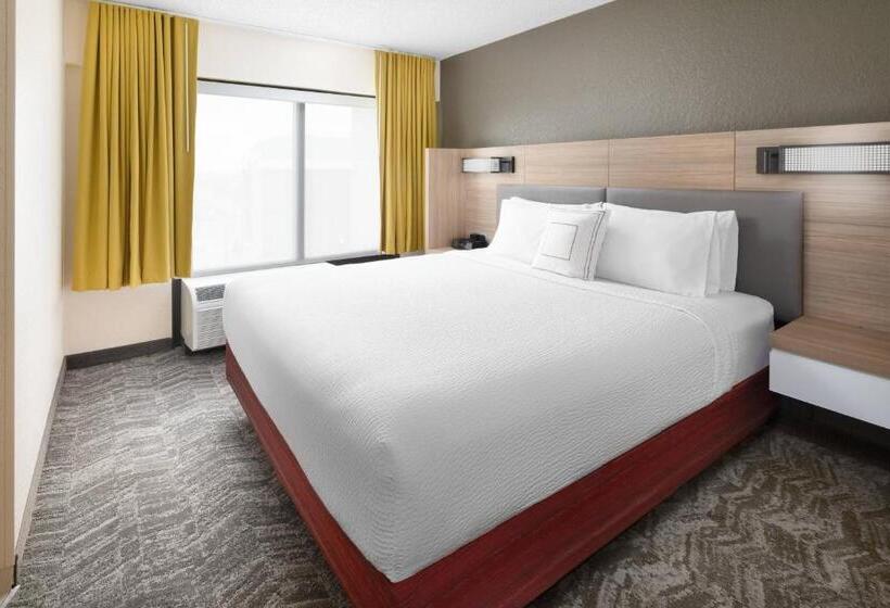 带大床的套房, Springhill Suites Houston Hobby Airport