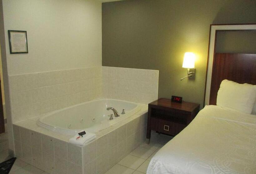 Люкс Кровать Кинг, Surestay Hotel By Best Western Manchester
