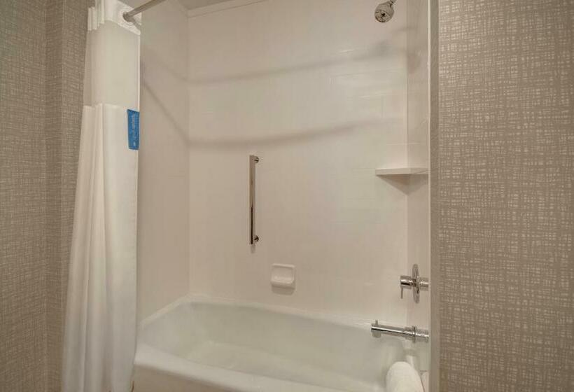 스탠다드 룸, Hampton Inn Pleasant View, Tn
