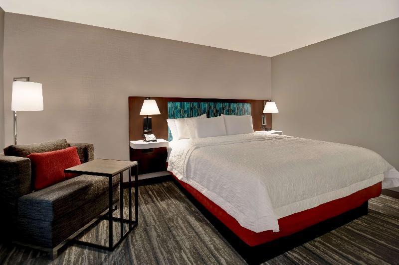 스탠다드 룸 킹사이즈 침대, Hampton Inn Pleasant View, Tn