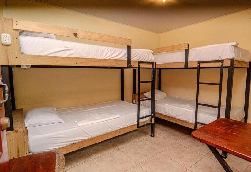 标准四人间共用浴室, Costa Linda Art Hostel
