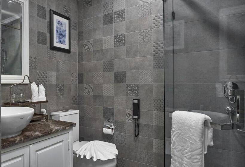Номер Deluxe, Anik Palace