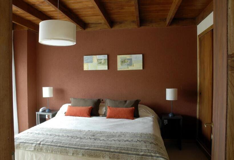 Апартаменты 1 Спальня с Террасой, Viñas Del Mar Apart & Spa Apart